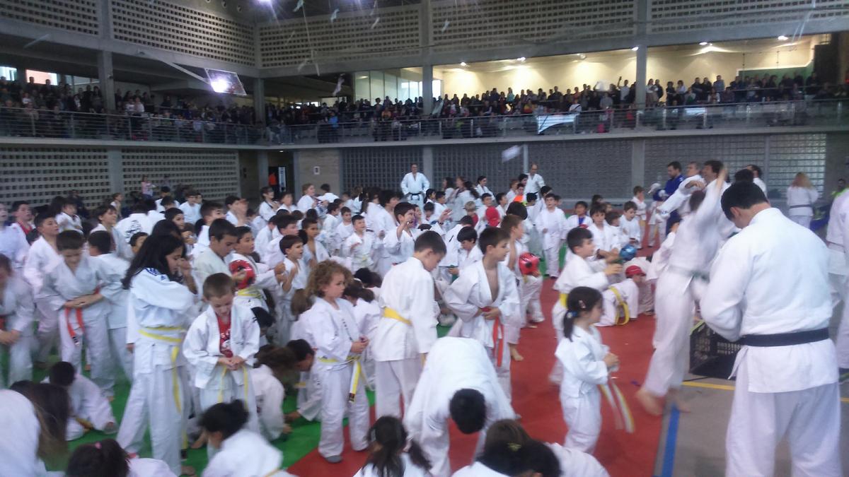 Divertida tarde en los Juegos Infantiles de Judo_Pamplona 25-05-19 FOTOS